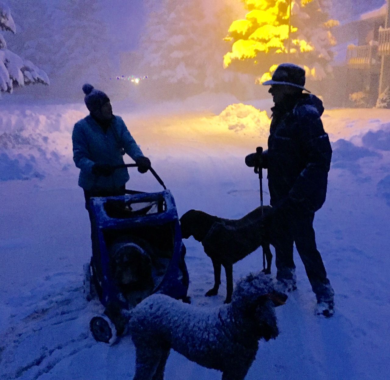 Neighborhood Walk